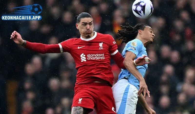 cải thiện trai nghiệm người dùng với lịch thi đấu bóng đá tại kèo nhà cái 18