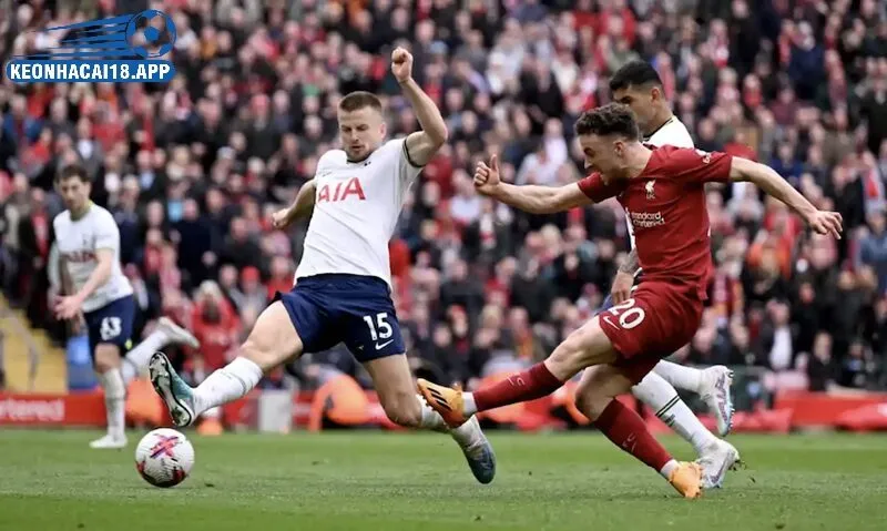 Kết quả bóng đá từ các giải đấu đỉnh cao